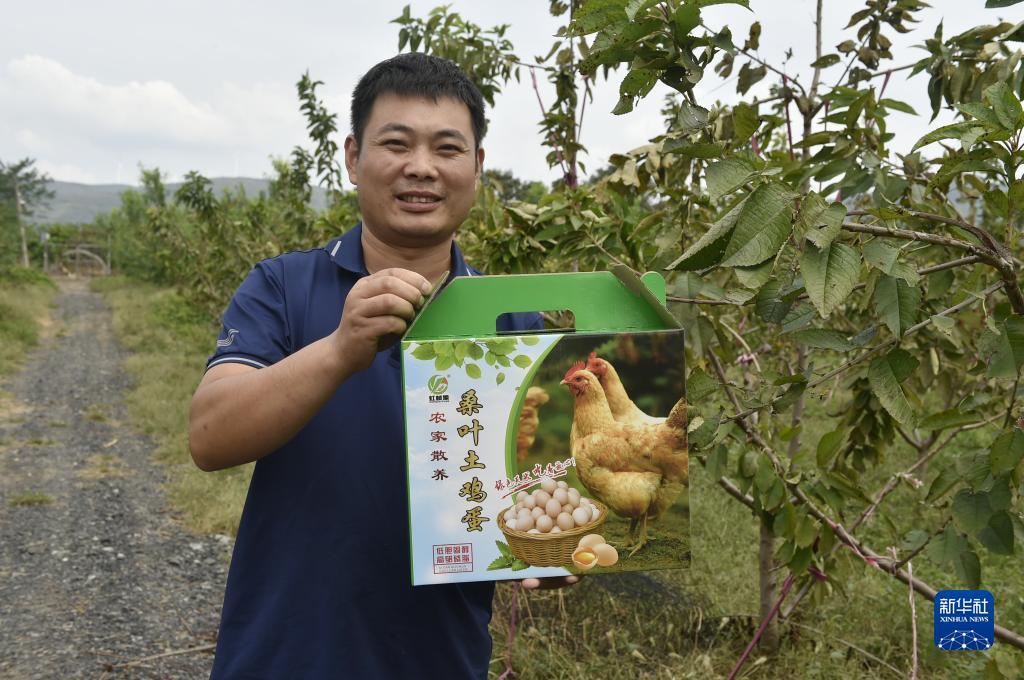 大乐透大赢家软件破解